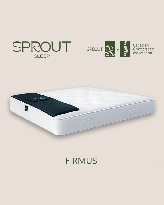 Firmus mattress 12"