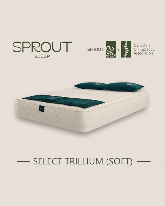 Sprout Select Trillium latex-core 9-inch mattress in cream with teal pillows and bed runner