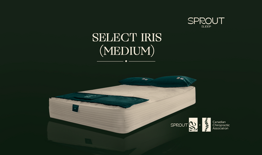 Sprout Select Iris Medium 9"