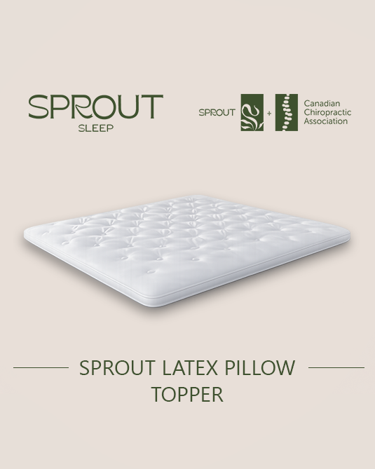 Sprout Latex pillow topper 2"