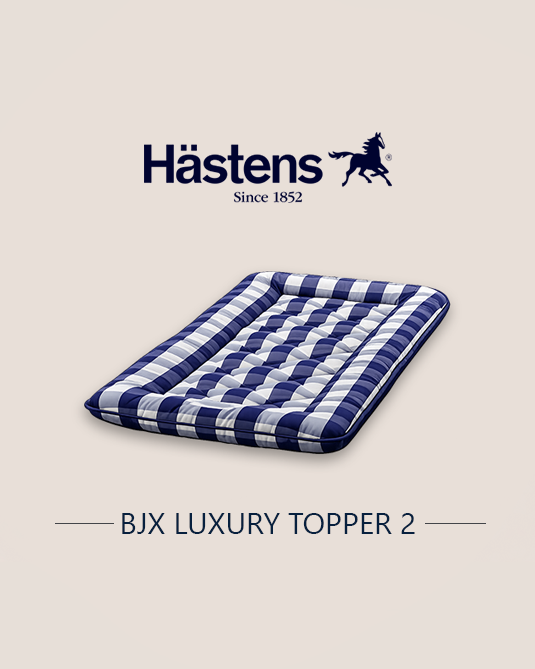 BJX Luxury topper 2"