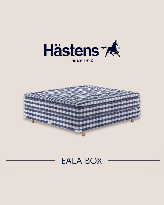 Eala box 10"