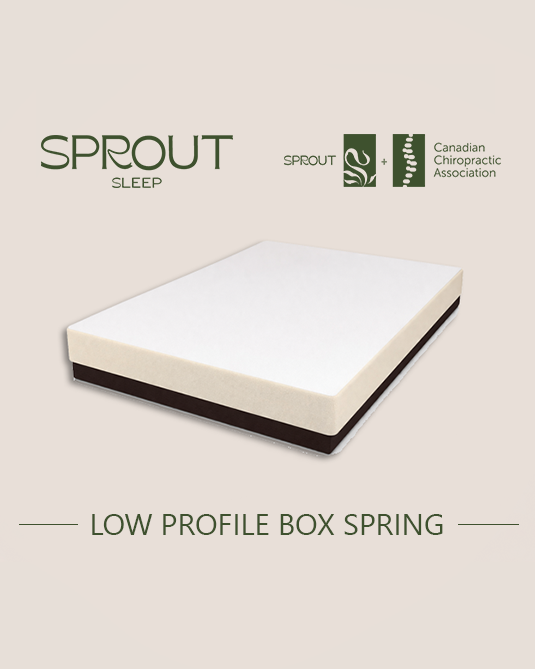Low-Profile Box spring 4"