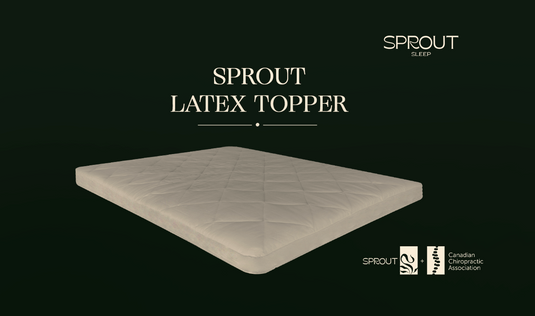 Sprout Select Latex pillow topper 2"