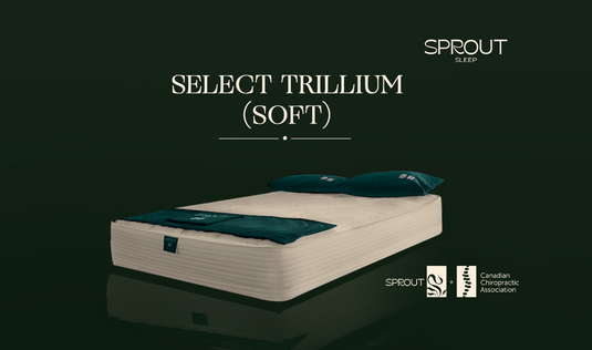 Sprout Select Trillium [Latex-core] 9"