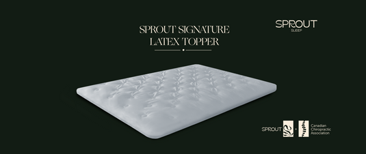 Sprout Latex pillow topper 2"